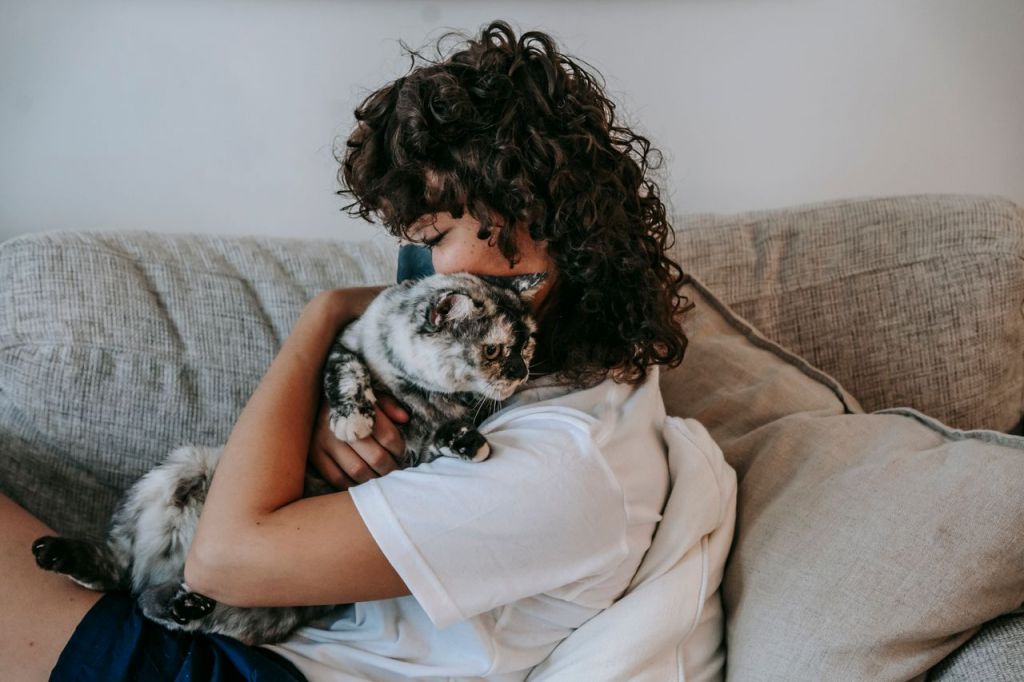 pexels-sam-lion-6001374.jpg