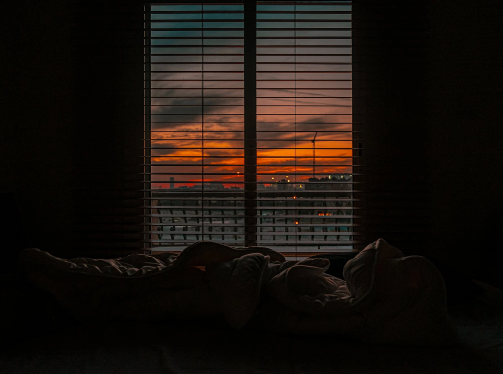 Фото: Pexels